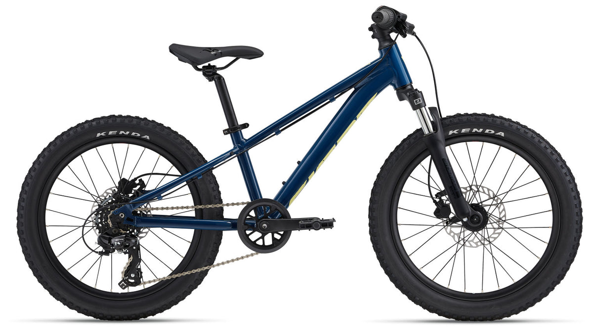 Giant STP 20" FS Kids Mountain Bike Blue Palace